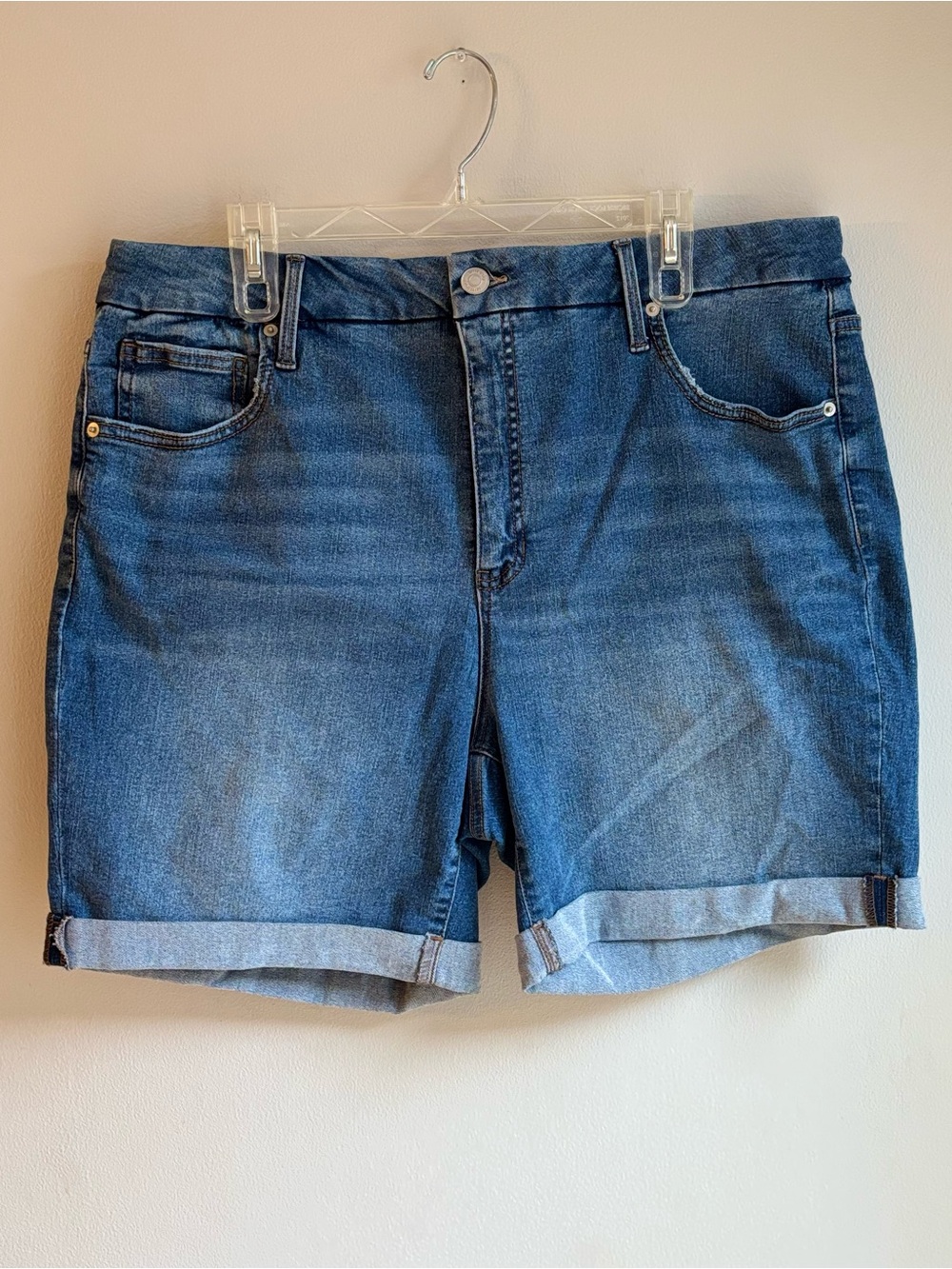 Terra & Sky High Rise Denim Shorts